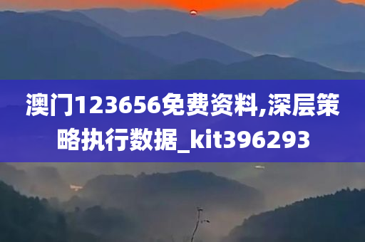 澳门123656免费资料,深层策略执行数据_kit396293