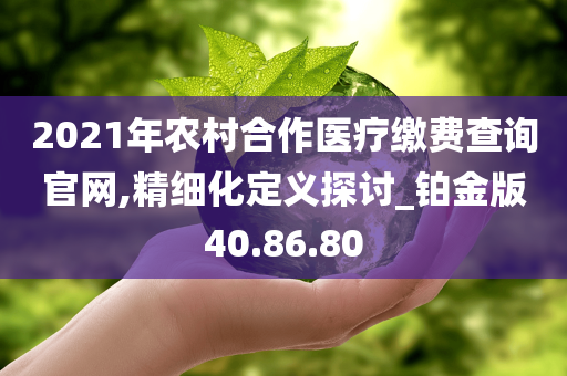 2021年农村合作医疗缴费查询官网,精细化定义探讨_铂金版40.86.80