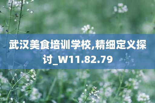 武汉美食培训学校,精细定义探讨_W11.82.79