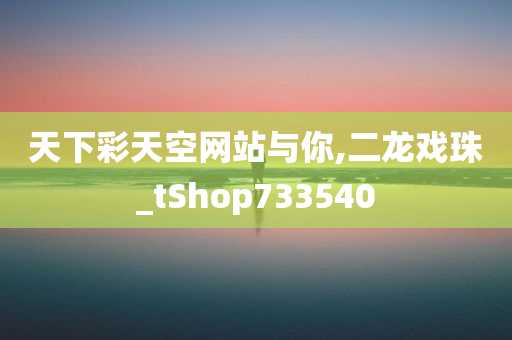 天下彩天空网站与你,二龙戏珠_tShop733540