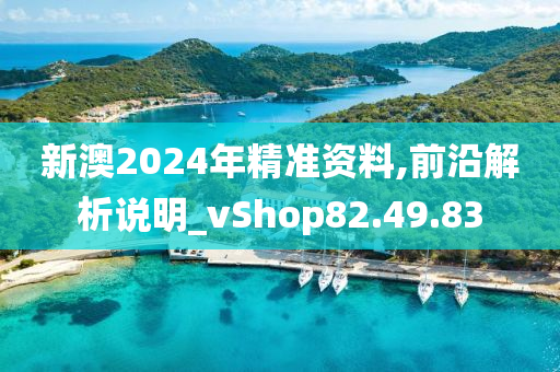 新澳2024年精准资料,前沿解析说明_vShop82.49.83