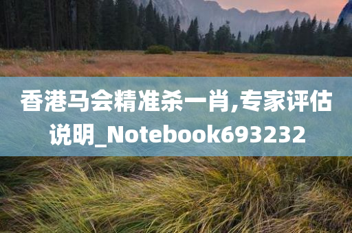 香港马会精准杀一肖,专家评估说明_Notebook693232