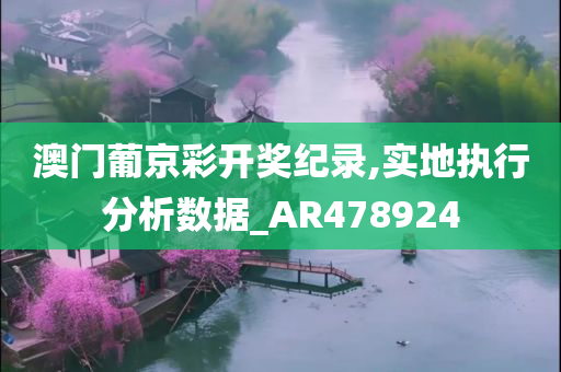 澳门葡京彩开奖纪录,实地执行分析数据_AR478924