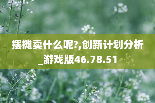 摆摊卖什么呢?,创新计划分析_游戏版46.78.51