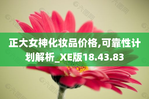 正大女神化妆品价格,可靠性计划解析_XE版18.43.83