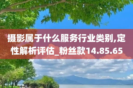 摄影属于什么服务行业类别,定性解析评估_粉丝款14.85.65