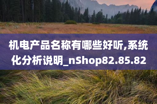 机电产品名称有哪些好听,系统化分析说明_nShop82.85.82