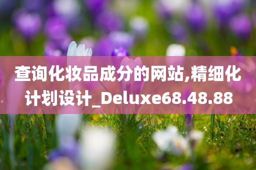 查询化妆品成分的网站,精细化计划设计_Deluxe68.48.88