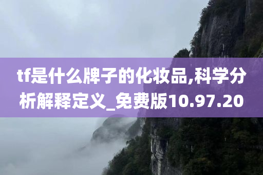 tf是什么牌子的化妆品,科学分析解释定义_免费版10.97.20