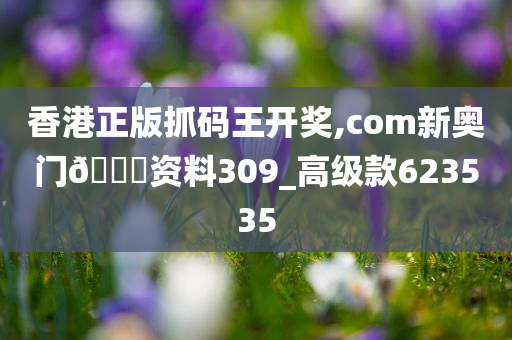 香港正版抓码王开奖,com新奥门🐎资料309_高级款623535