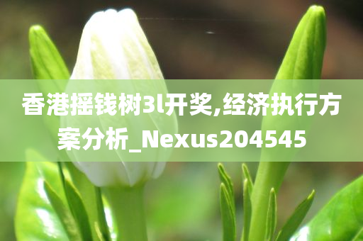 香港摇钱树3l开奖,经济执行方案分析_Nexus204545