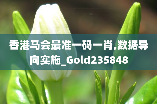 香港马会最准一码一肖,数据导向实施_Gold235848