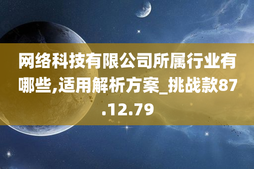 网络科技有限公司所属行业有哪些,适用解析方案_挑战款87.12.79