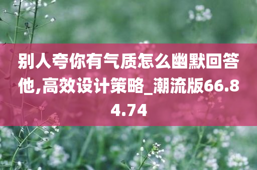 别人夸你有气质怎么幽默回答他,高效设计策略_潮流版66.84.74