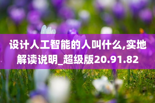 设计人工智能的人叫什么,实地解读说明_超级版20.91.82