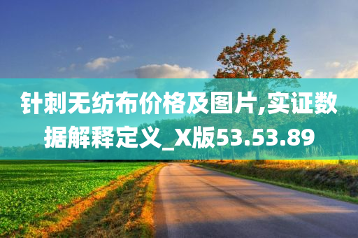 针刺无纺布价格及图片,实证数据解释定义_X版53.53.89