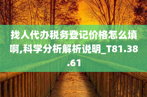 找人代办税务登记价格怎么填啊,科学分析解析说明_T81.38.61