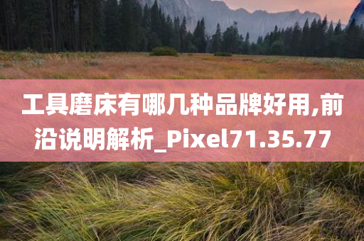 工具磨床有哪几种品牌好用,前沿说明解析_Pixel71.35.77