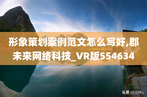 形象策划案例范文怎么写好,郡未来网络科技_VR版554634