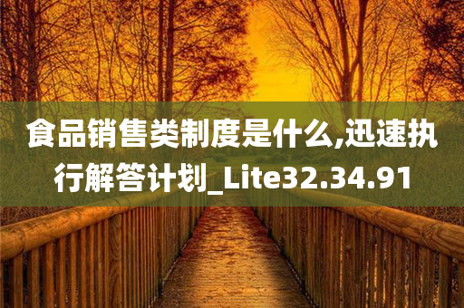 食品销售类制度是什么,迅速执行解答计划_Lite32.34.91