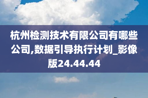 杭州检测技术有限公司有哪些公司,数据引导执行计划_影像版24.44.44