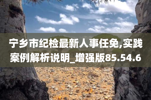 宁乡市纪检最新人事任免,实践案例解析说明_增强版85.54.60