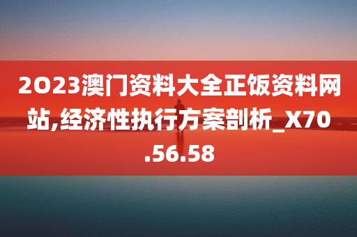 2O23澳门资料大全正饭资料网站,经济性执行方案剖析_X70.56.58