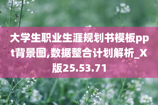 大学生职业生涯规划书模板ppt背景图,数据整合计划解析_X版25.53.71