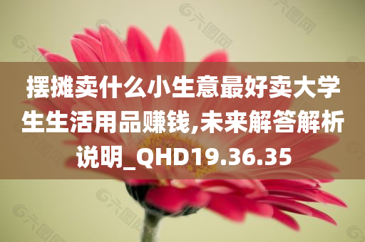 摆摊卖什么小生意最好卖大学生生活用品赚钱,未来解答解析说明_QHD19.36.35