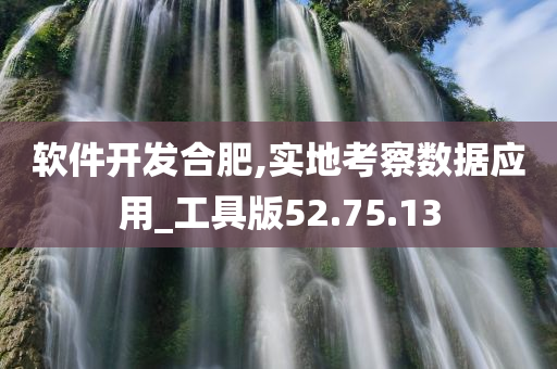 软件开发合肥,实地考察数据应用_工具版52.75.13