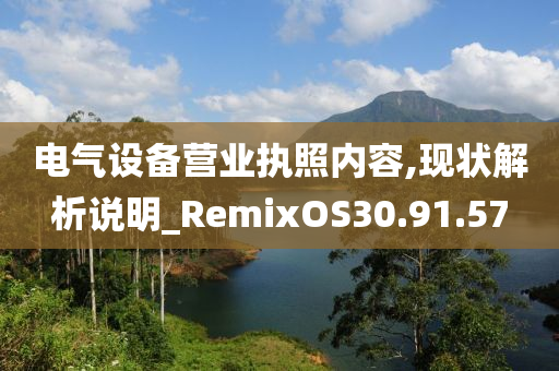 电气设备营业执照内容,现状解析说明_RemixOS30.91.57