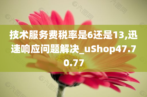 技术服务费税率是6还是13,迅速响应问题解决_uShop47.70.77