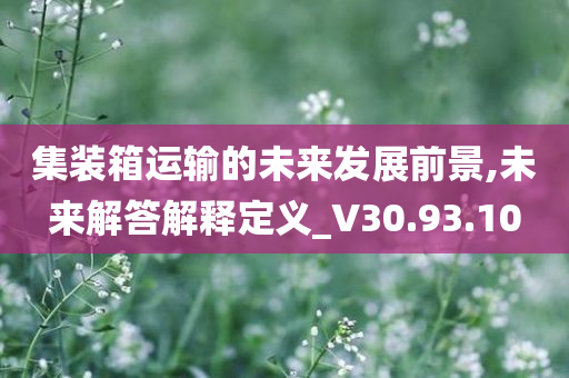 集装箱运输的未来发展前景,未来解答解释定义_V30.93.10