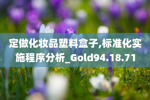 定做化妆品塑料盒子,标准化实施程序分析_Gold94.18.71