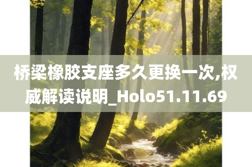 桥梁橡胶支座多久更换一次,权威解读说明_Holo51.11.69