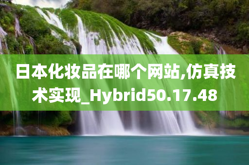 日本化妆品在哪个网站,仿真技术实现_Hybrid50.17.48