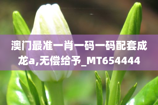 澳门最准一肖一码一码配套成龙a,无偿给予_MT654444