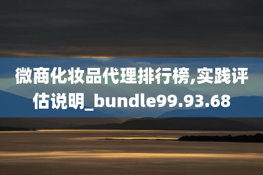 微商化妆品代理排行榜,实践评估说明_bundle99.93.68