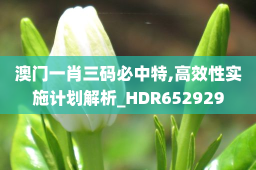 澳门一肖三码必中特,高效性实施计划解析_HDR652929