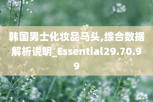 韩国男士化妆品马头,综合数据解析说明_Essential29.70.99