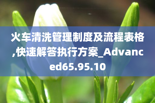 火车清洗管理制度及流程表格,快速解答执行方案_Advanced65.95.10