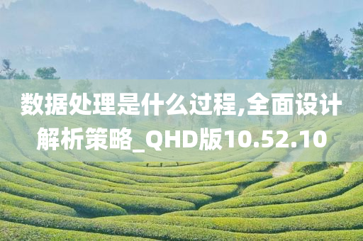 数据处理是什么过程,全面设计解析策略_QHD版10.52.10