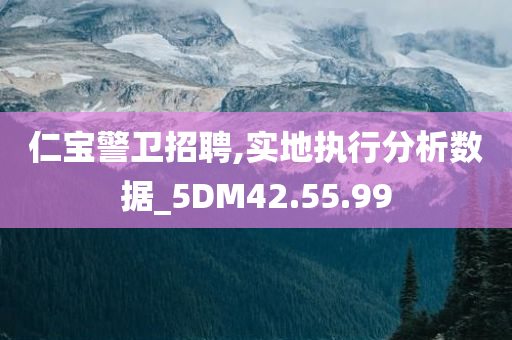 仁宝警卫招聘,实地执行分析数据_5DM42.55.99