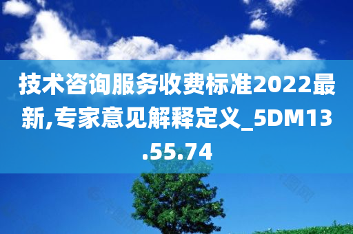 技术咨询服务收费标准2022最新,专家意见解释定义_5DM13.55.74