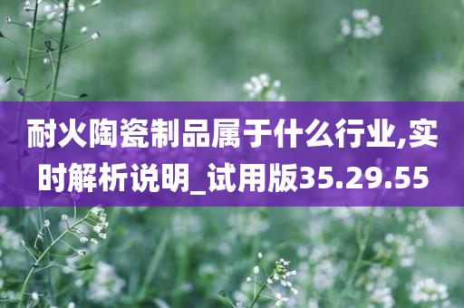 耐火陶瓷制品属于什么行业,实时解析说明_试用版35.29.55