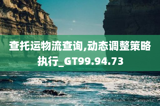 查托运物流查询,动态调整策略执行_GT99.94.73