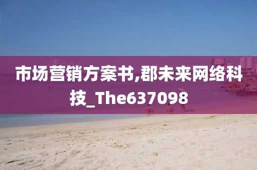 市场营销方案书,郡未来网络科技_The637098