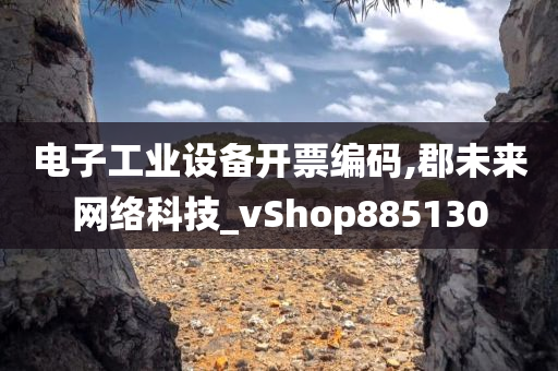 电子工业设备开票编码,郡未来网络科技_vShop885130