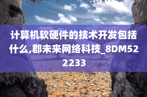 计算机软硬件的技术开发包括什么,郡未来网络科技_8DM522233