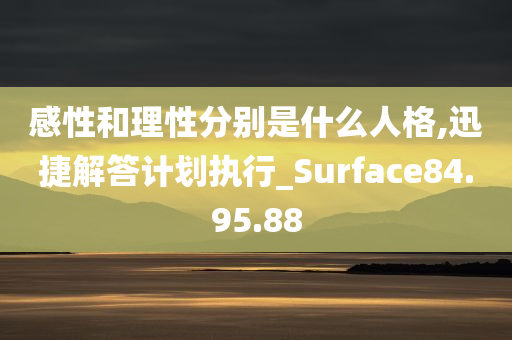 感性和理性分别是什么人格,迅捷解答计划执行_Surface84.95.88